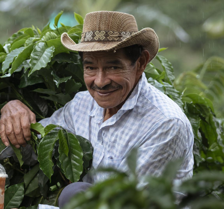 Colombia koffie boer met hoed op koffieplantage