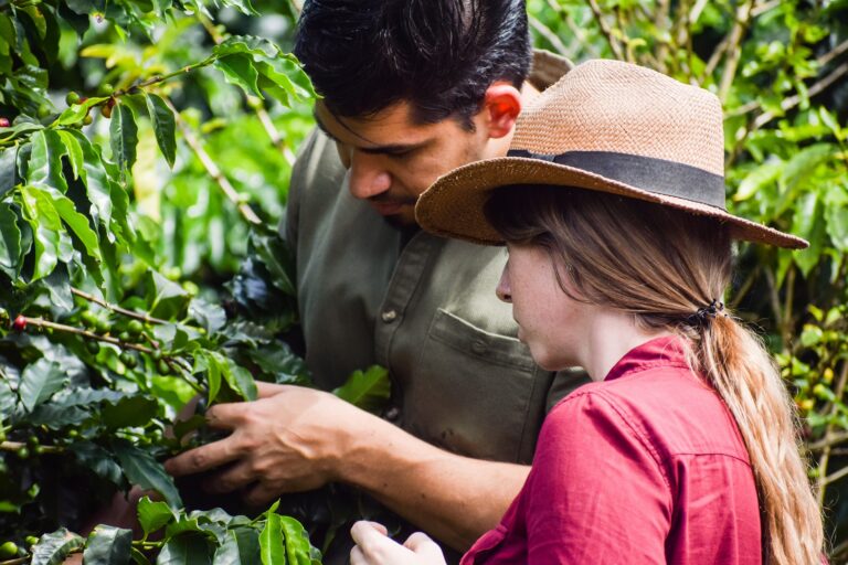 koffie farm tour met gids in colombia