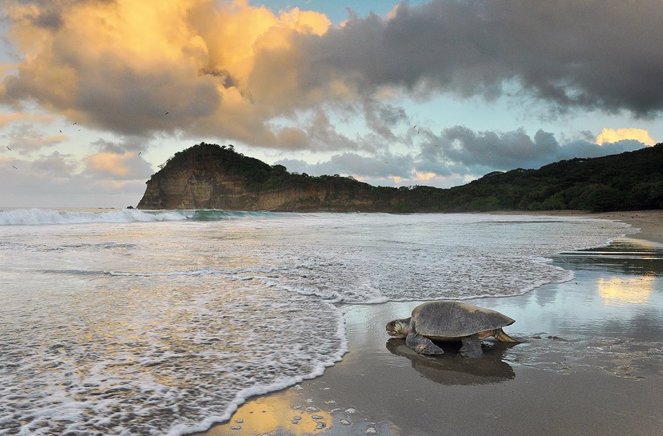 La Flor Nature Reserve in Nicaragua