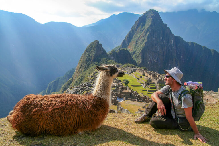 toerist samen met een lama zittend op een rots met de ruïnes van machu picchu op de achtergrond