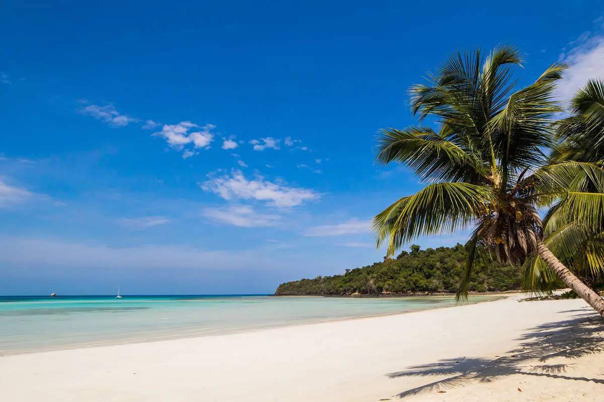 Helderblauw zeewater, blauwe lucht, wit strand en palmboom in Madagaskar