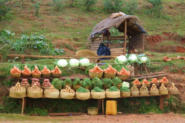 Een kraampje met verse groenten op de lokale markt in Madagaskar