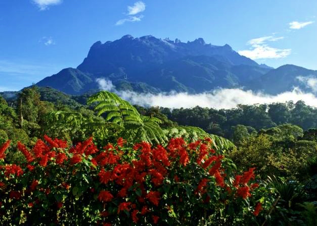 Mount in Kinabalu, Maleisië