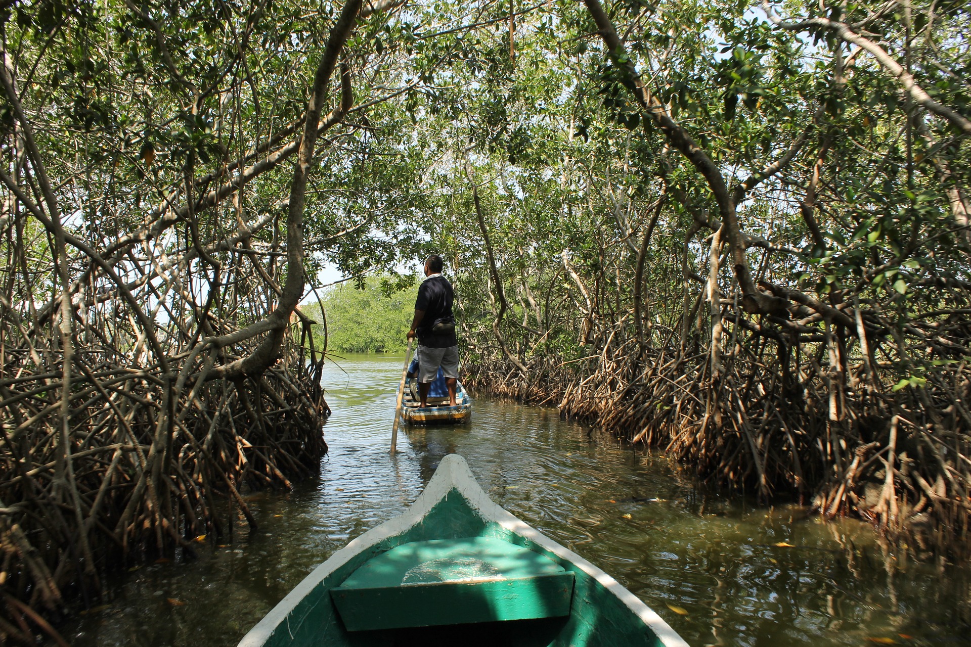 bootje op het water door mangrovebossen in de amazone