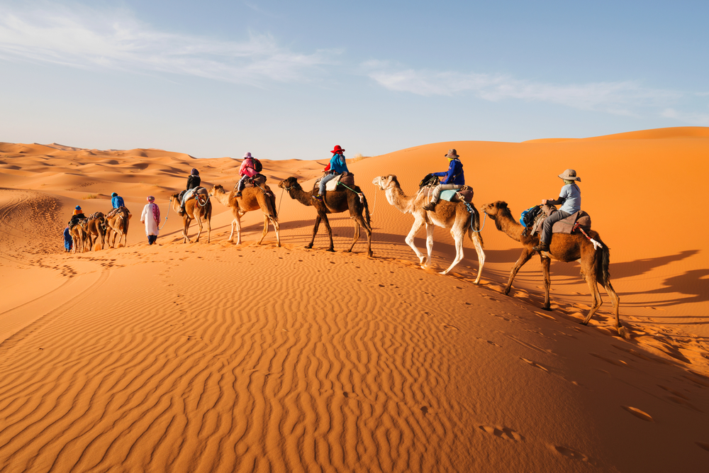 Aantal kamelen met locals erop die door de sahara lopen