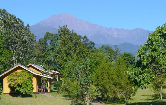 Ligging van de Meru Mbega Lodge tussen de bergen en bomen in Tanzania