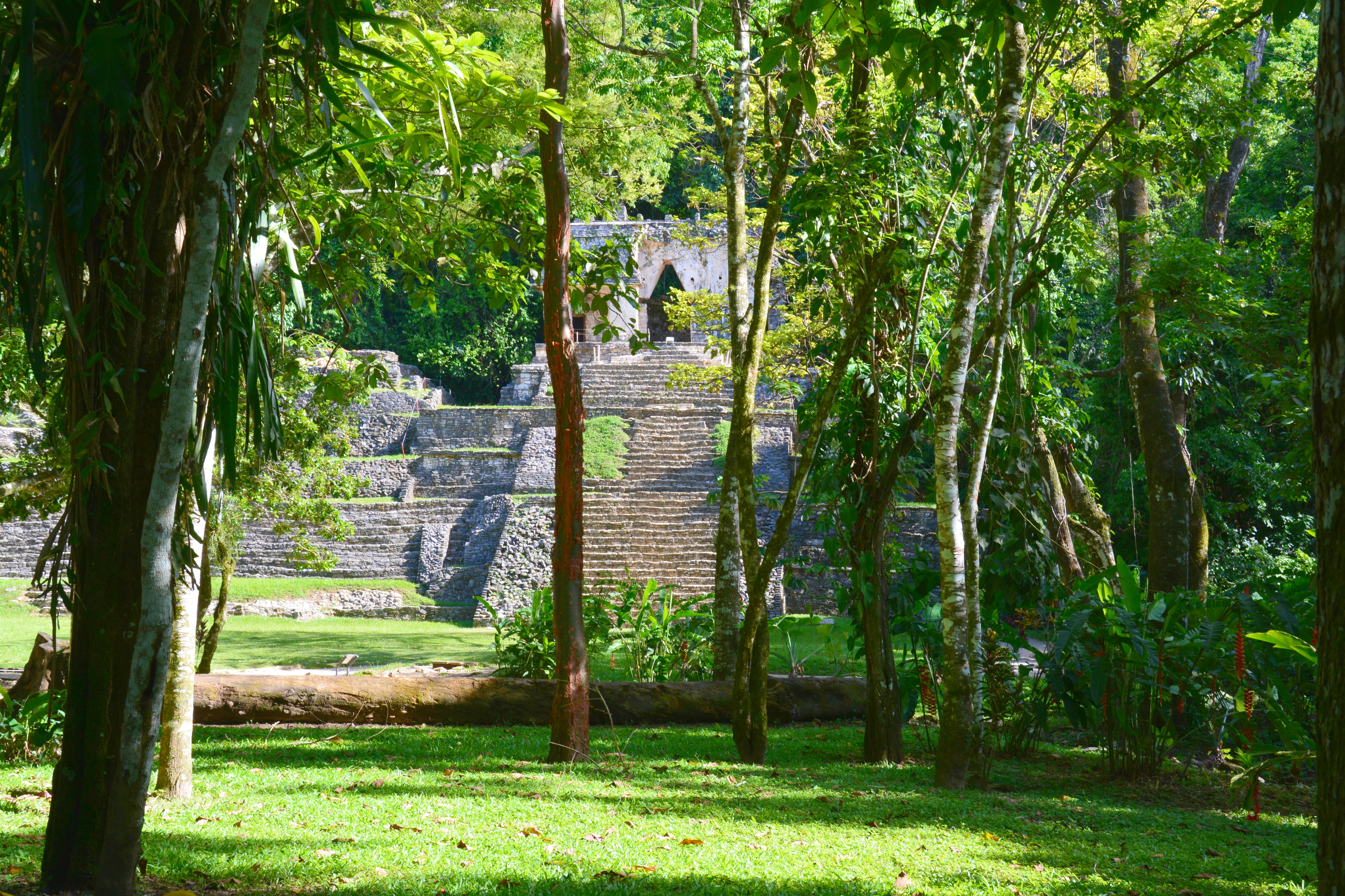 Ruïnes van Palenque