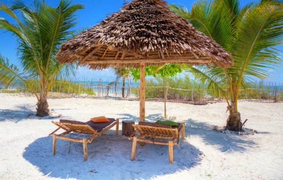 Strandbedjes en palmbomen op Zanzibar