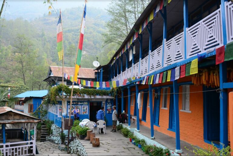 Tea trekking in Nepal