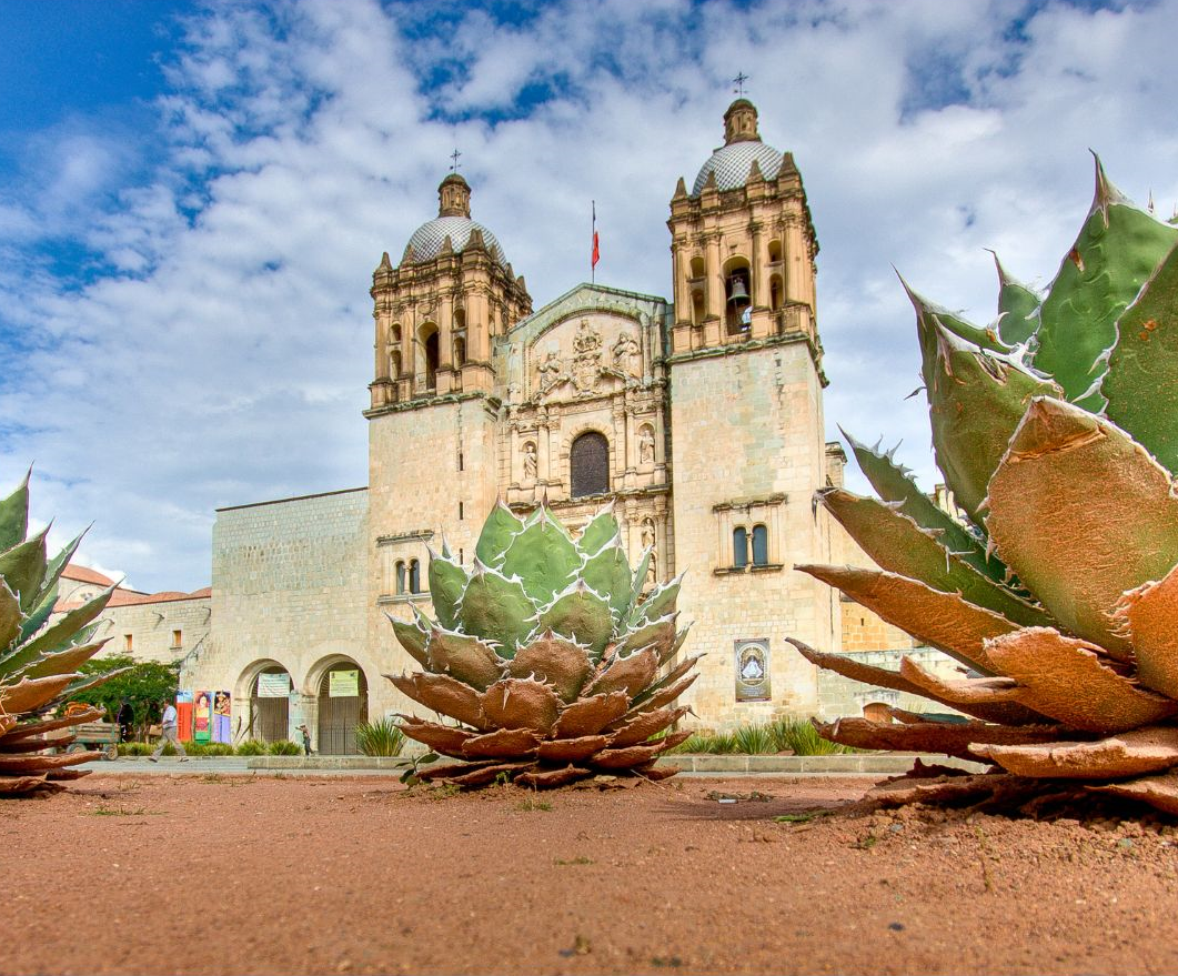 Kerk in Oaxaca Mexico met op de voorgrond cactus planten