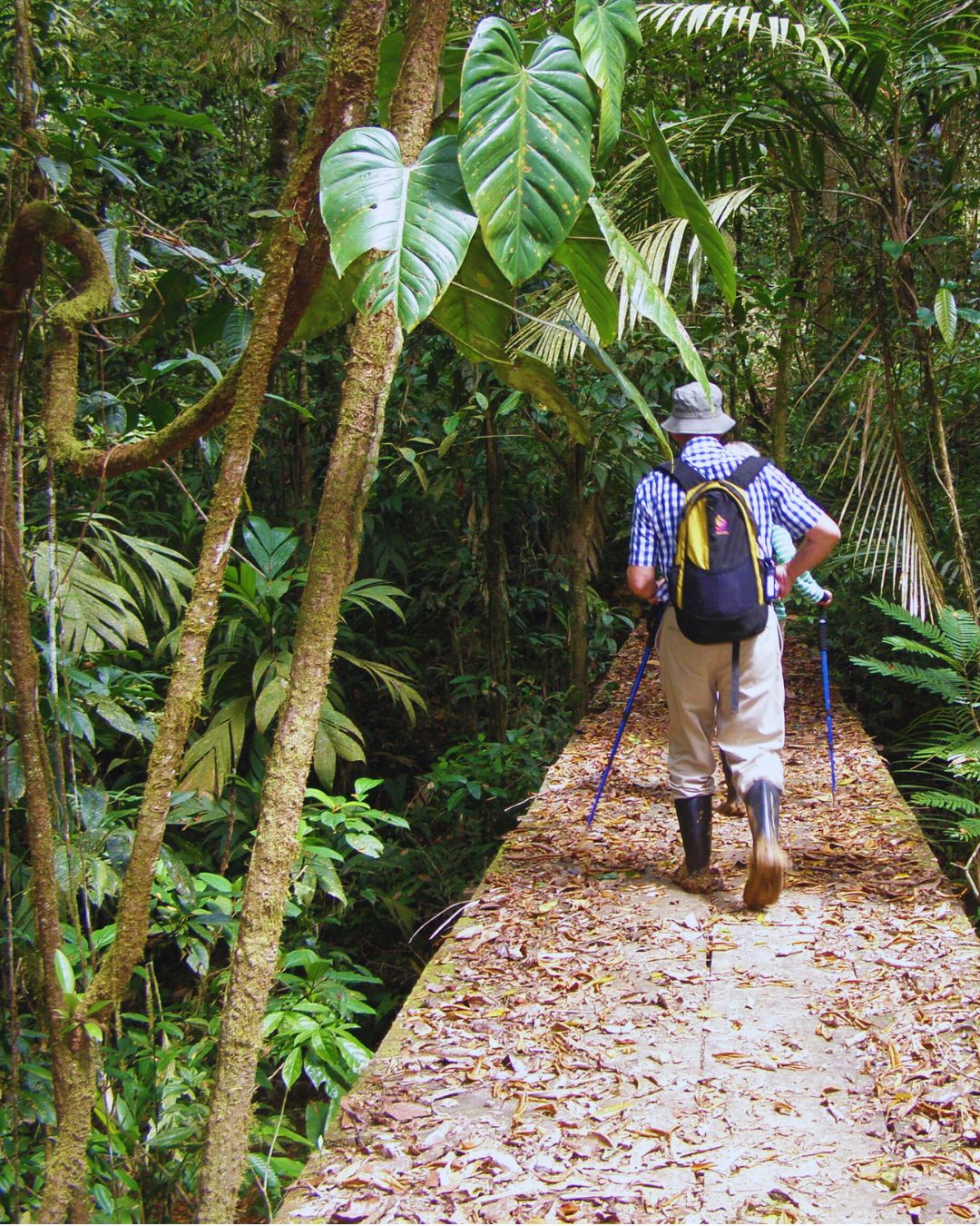 man wandelt door jungle van Ometepa Island