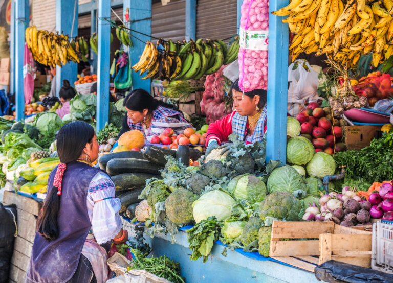 een kleurrijke marktkraam waar een ecuadoriaanse vrouw haar verse groenten en fruit verkoopt