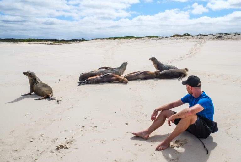 Galapagos man op strand met zeeleeuwen