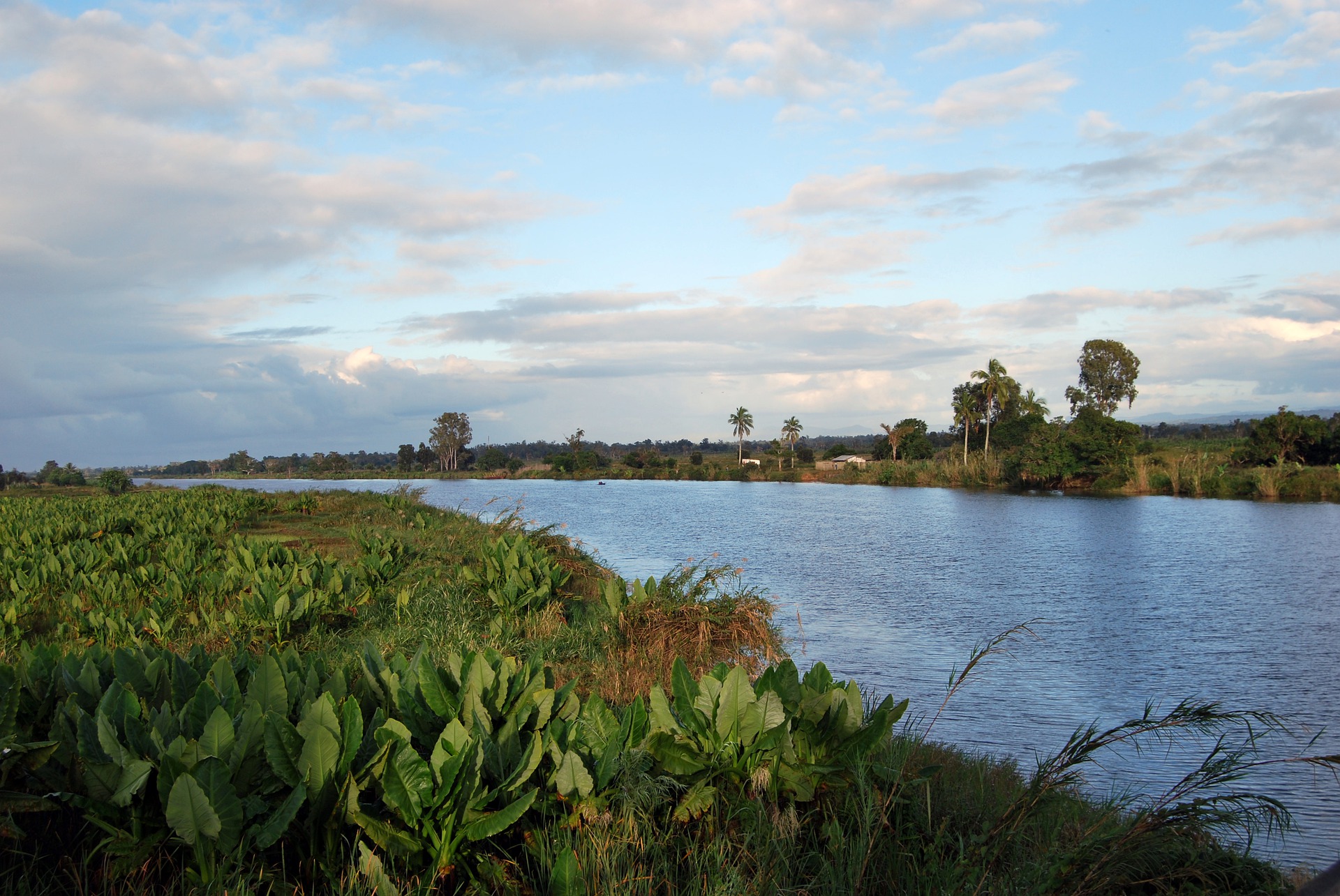 kanaal met veel waterplanten door het platteland van madagaskar