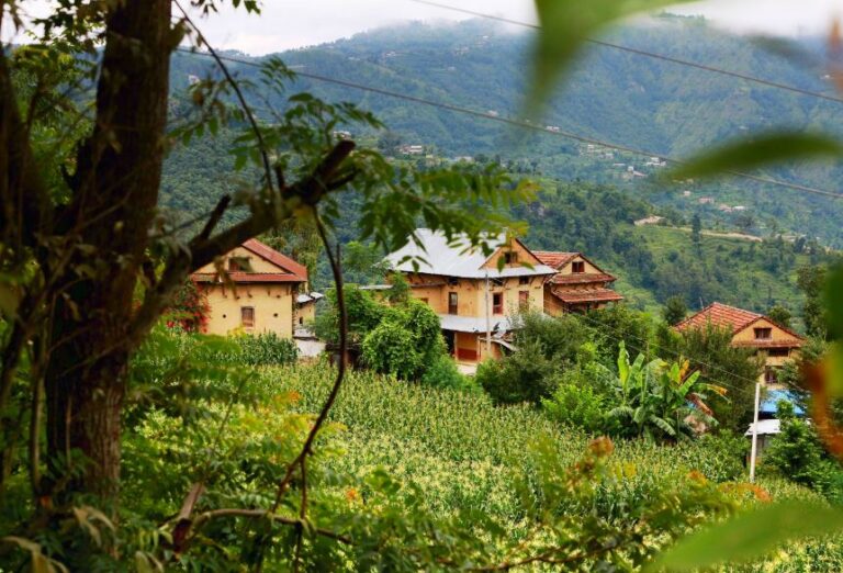 Patlekhet homestay in Nepal
