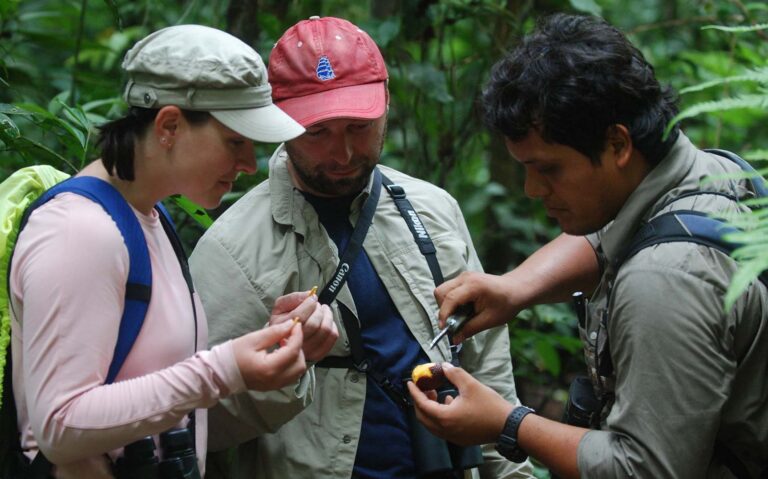 reizigers samen met een gids in de amazone jungle
