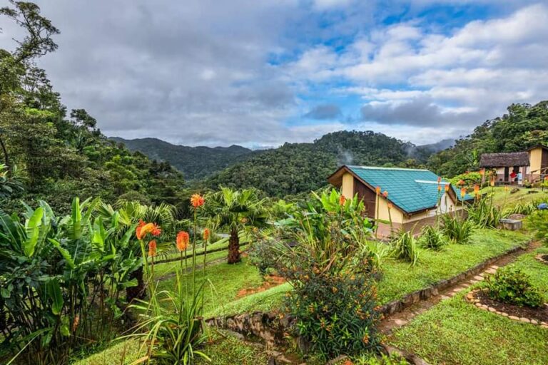 Huisje tussen het groene landschap in Madagaskar