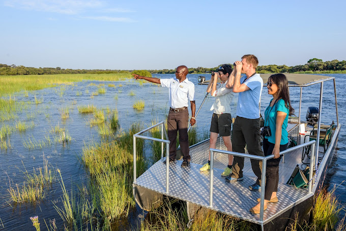 met verrekijker wildlife spotten in de rivierdelta
