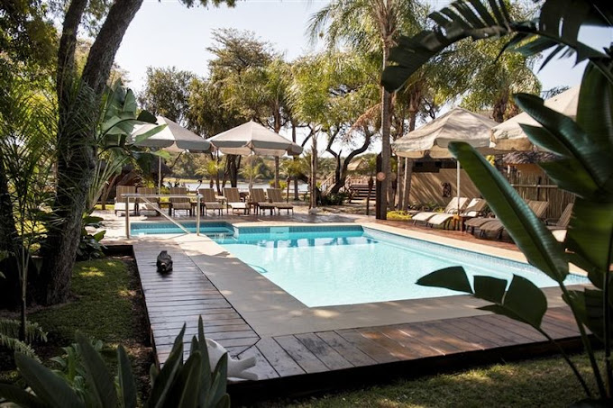 lodge zwembad omgeven door groen en parasols
