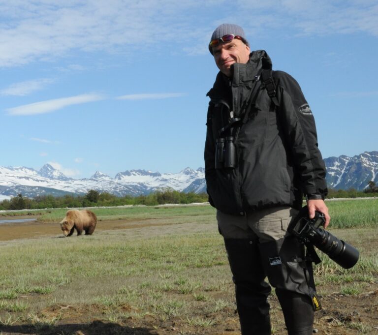 Beren spotten in Alaska