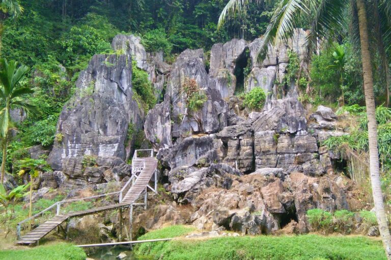 Avontuur Birdnest Cave in Borneo