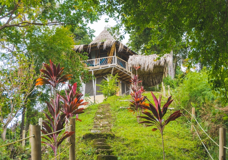 eco-boomhut in de jungle in minca