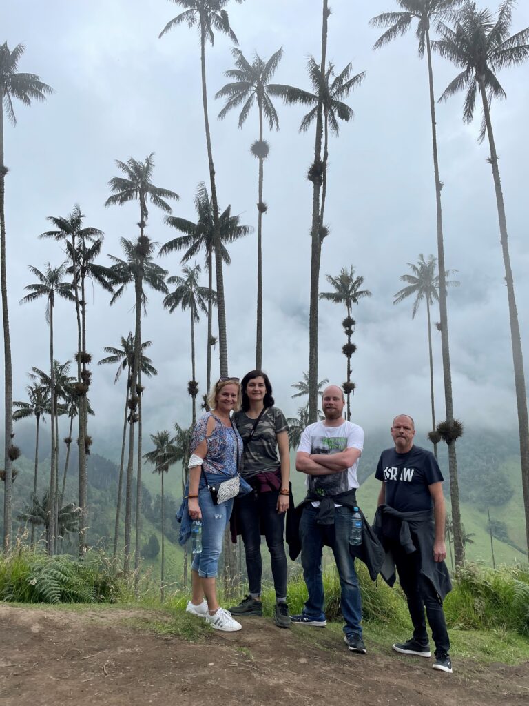 Colombia Salento wax palmen cocora vallei