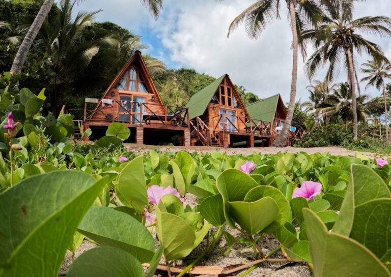 accommodatie met houten huisjes op palen tussen palmbomen