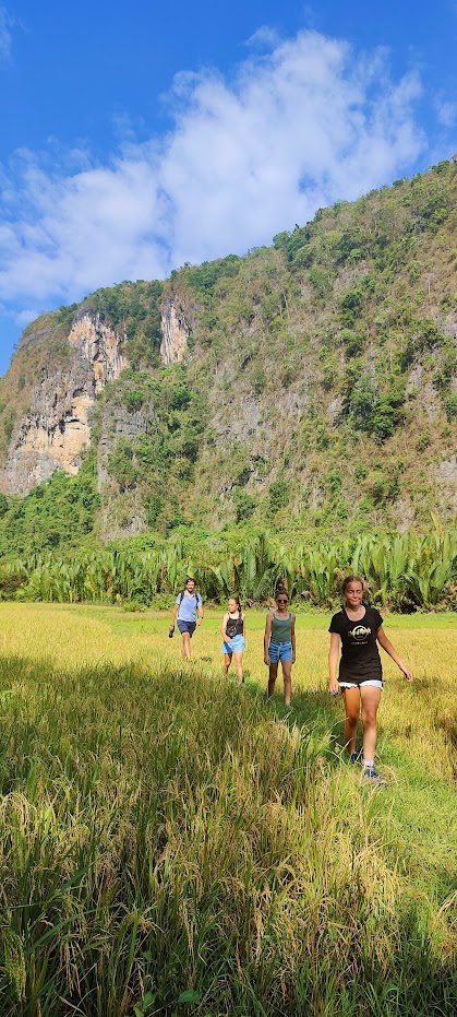 Wandelen door de rijstvelden van de Harau vallei op Sumatra