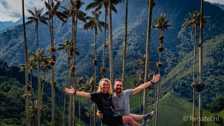 Colombia stel in cocora vallei bij Salento met palmbomen