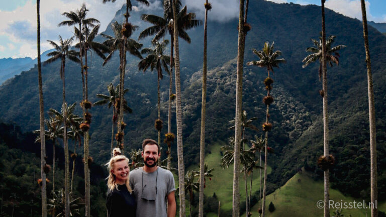 Colombia stel in cocora vallei bij Salento met palmbomen