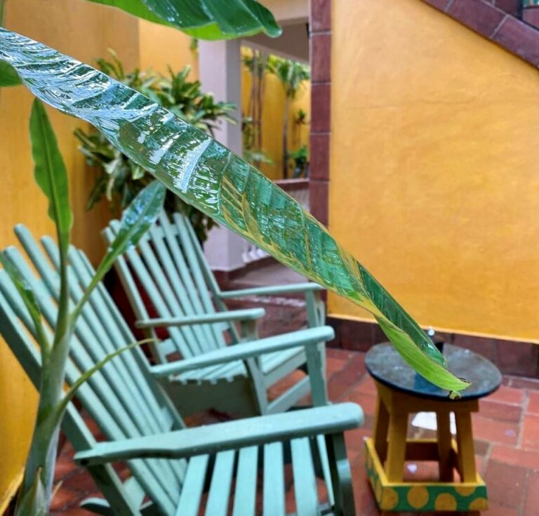 Slapen in een casa in Cuba