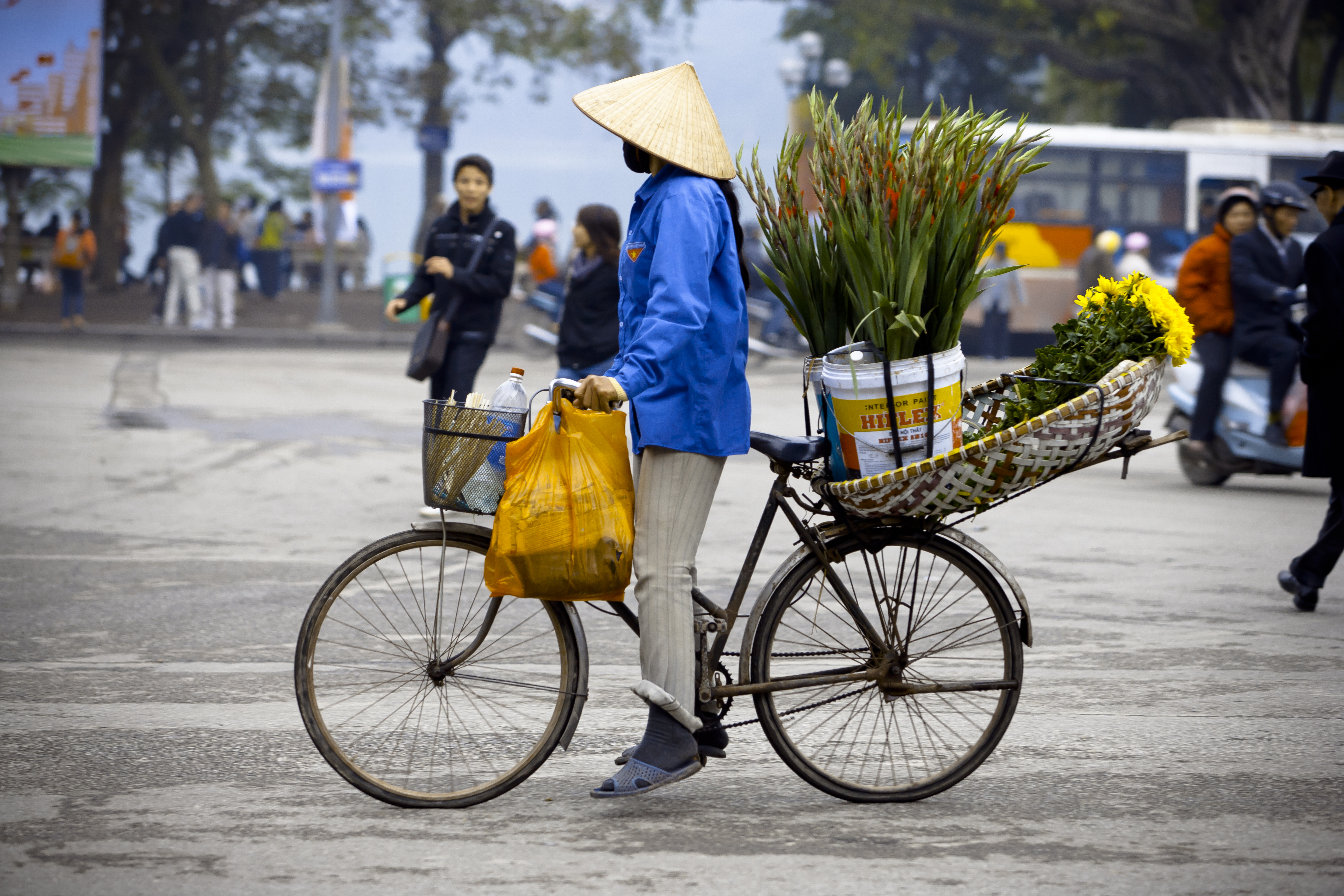 Vrouw op de fiets in Hanoi