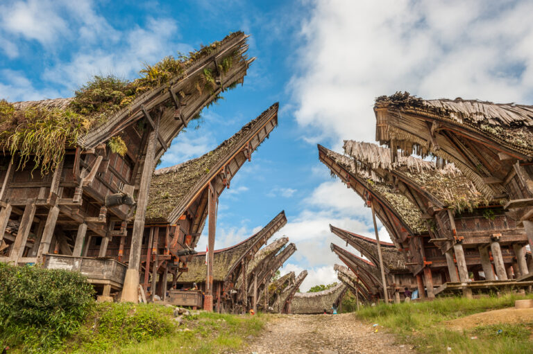 Meerdere traditionele Tongkonan-huizen in Tana Toraja, Sulawesi