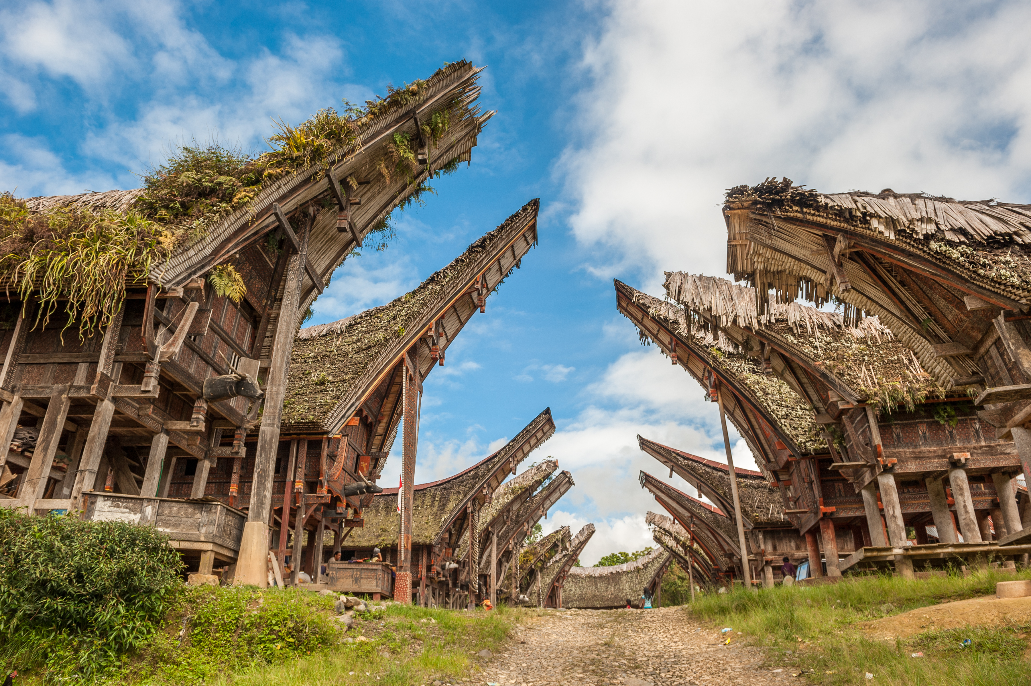 Meerdere traditionele Tongkonan-huizen in Tana Toraja, Sulawesi