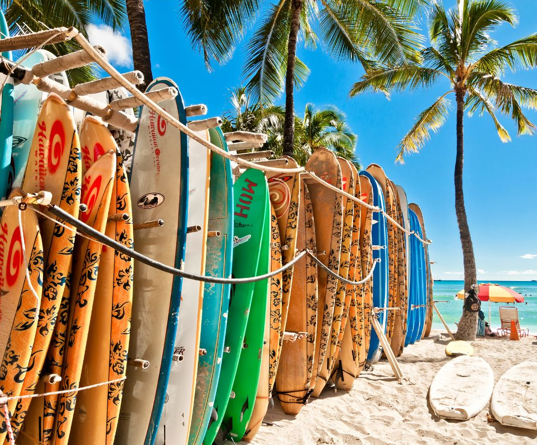 surfplanken in rekken op het strand met palmbomen in guatemala