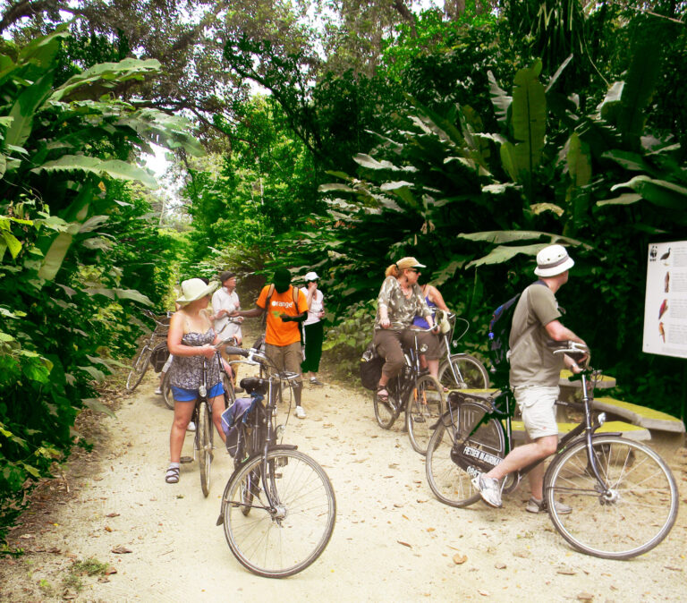 Kleine groep mensen maken een fietstocht door het Peperpot Natuurpark in Suriname