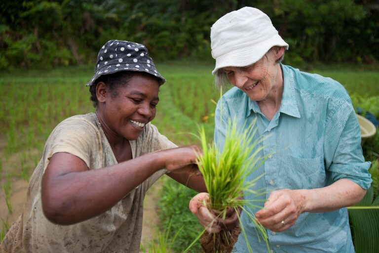Reiziger met local tussen de rijstvelden aan het werk in Madagaskar