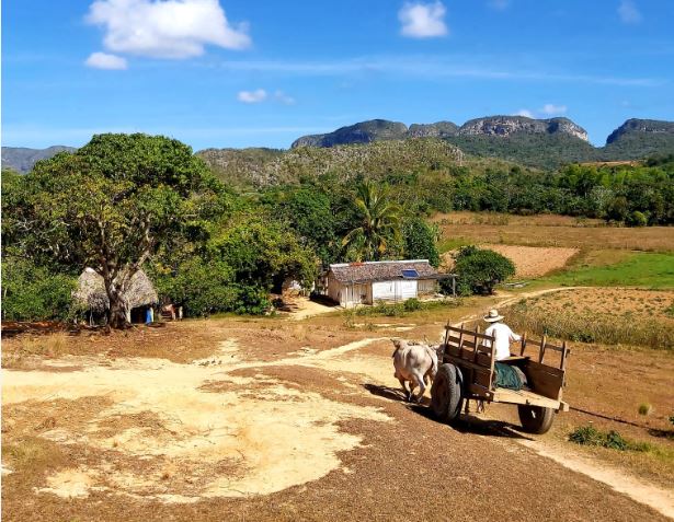 Vallei in Viñales, Cuba