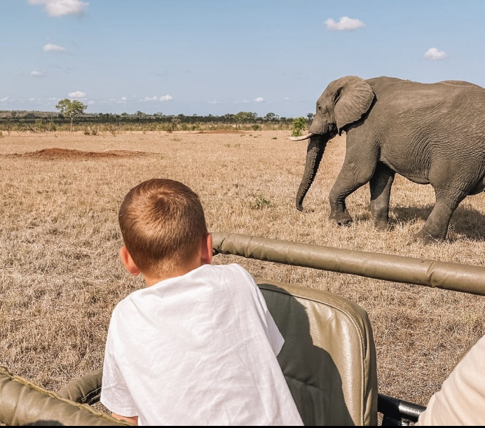 een jongetje kijkt vanuit een safari jeep naar een voorbij lopende olifant
