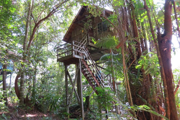 Verblijf overnachting jungle in Borneo