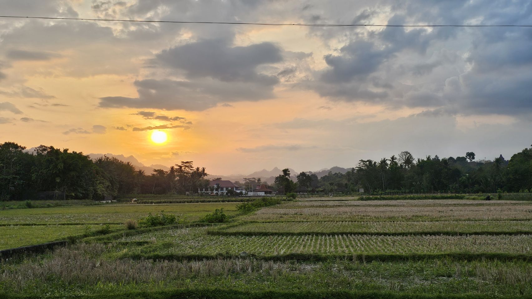 zonsopkomst boven rijstvelden in Indonesië
