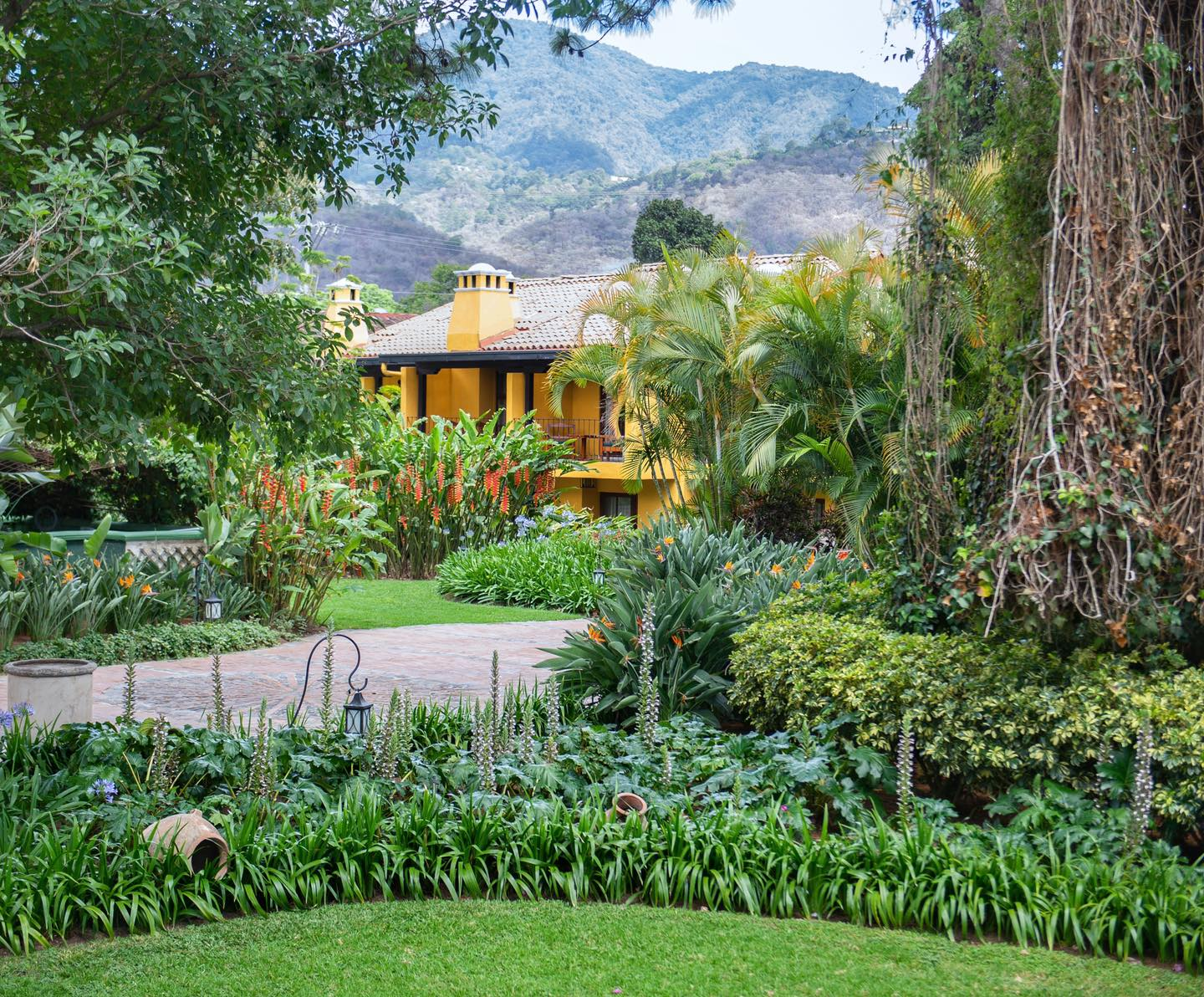 Geel boetiek hotel tussen het groen in Antigua Guatemala