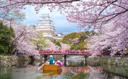 Bootje vaart over de rivier onzer roze bloesems met er achter het witte Himeji-kasteel in Japan