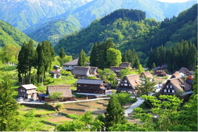 groene japanse alpen vol traditionele huizen met rieten daken
