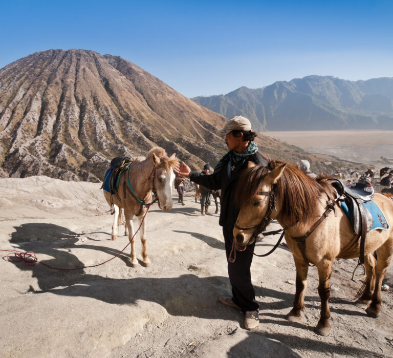 een man let op zijn paarden bij de bromo vulkaan op Java