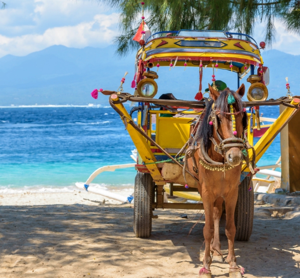 traditionele cidomo paardenwagen aan zee op de Gili-eilanden