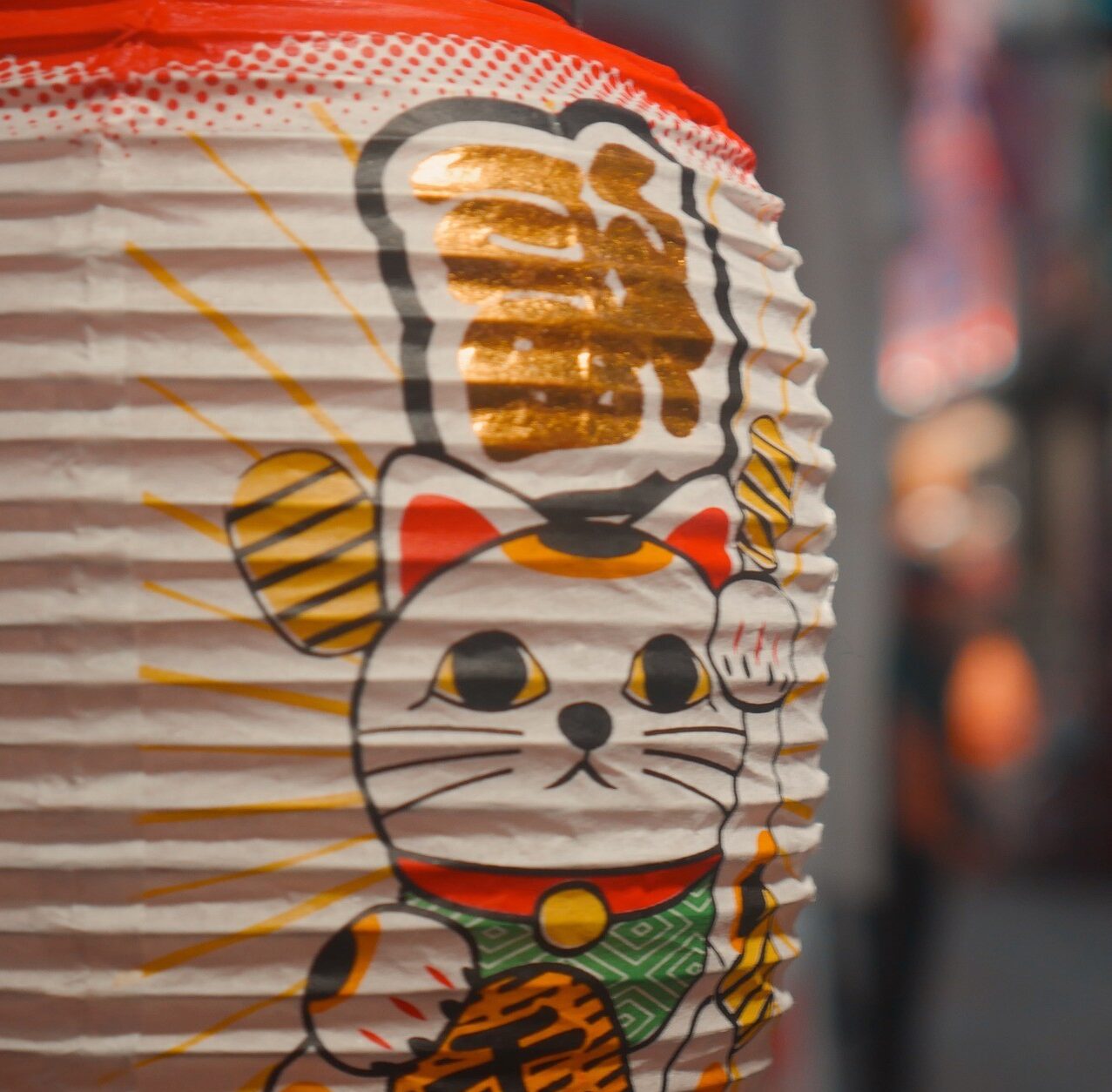 Japanse lampion met afbeelding van kat in donker straatje