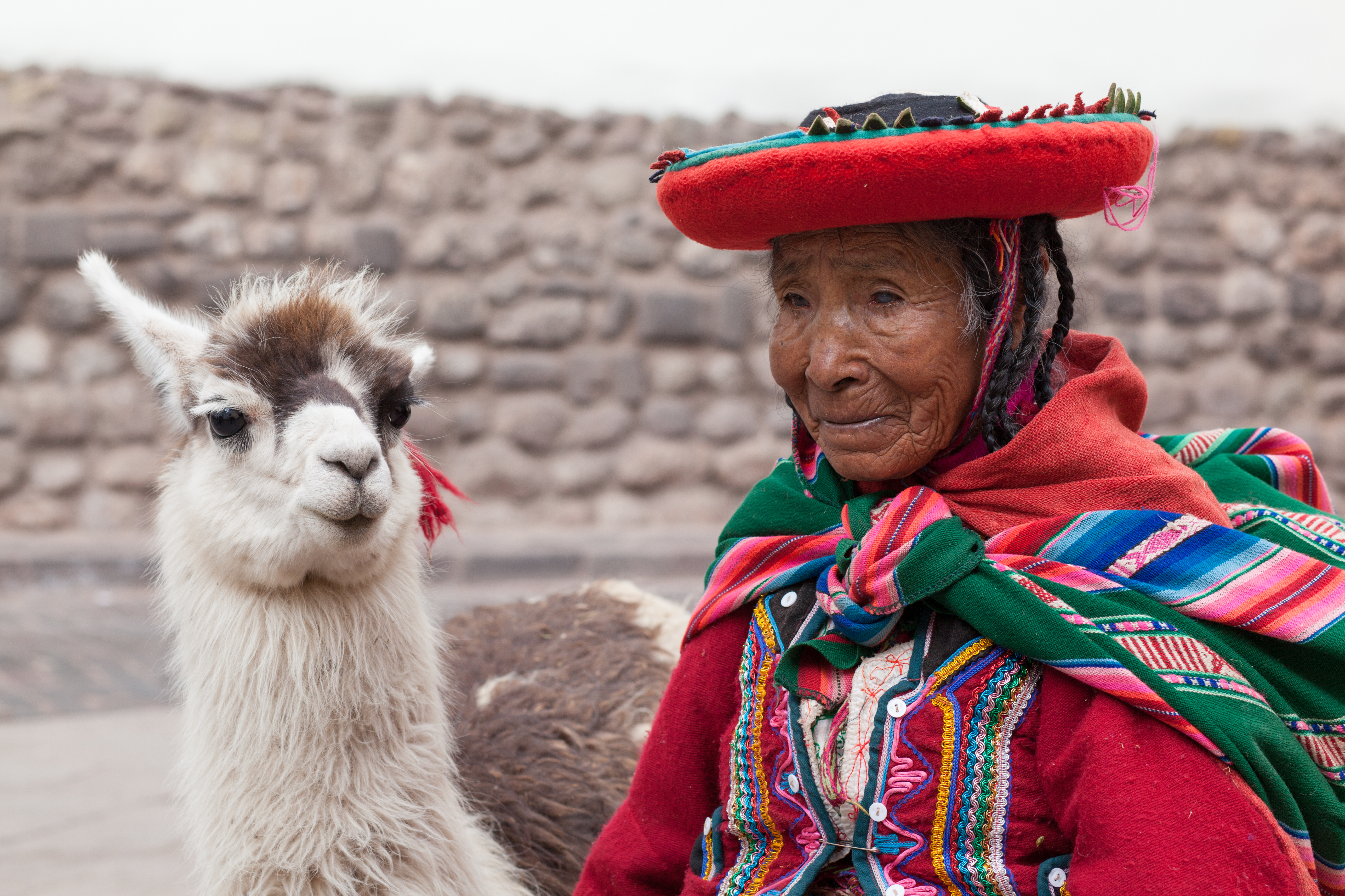 local in traditionele kleding met lama
