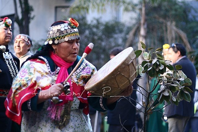 Mapuche in Chili